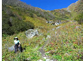 Kuari Pass, Rishikesh, Auli, Tali, Bagarbudda, Tapovan